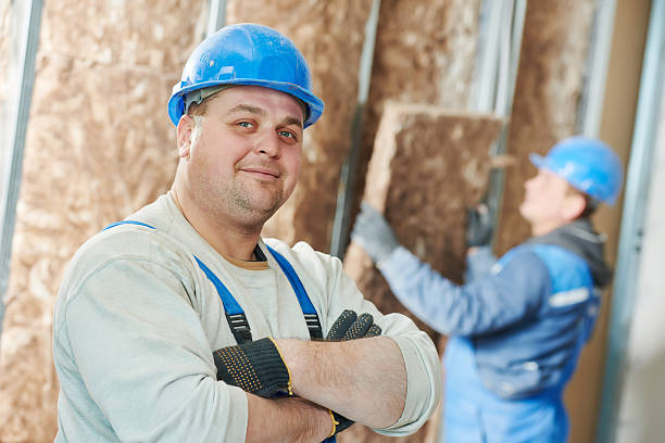 Insulation Repair Services in Canby, MN